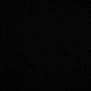 Meet your Posher, Connie